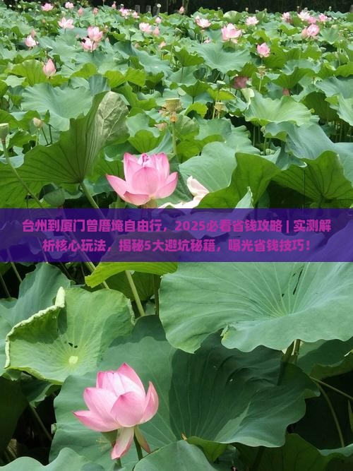 台州到厦门曾厝埯自由行