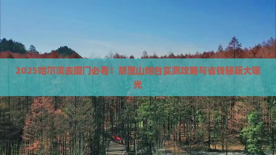 哈尔滨去厦门胡里山炮台旅游