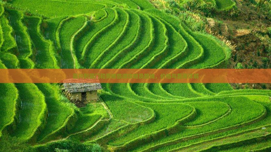 嘉兴到厦门和贵楼旅游