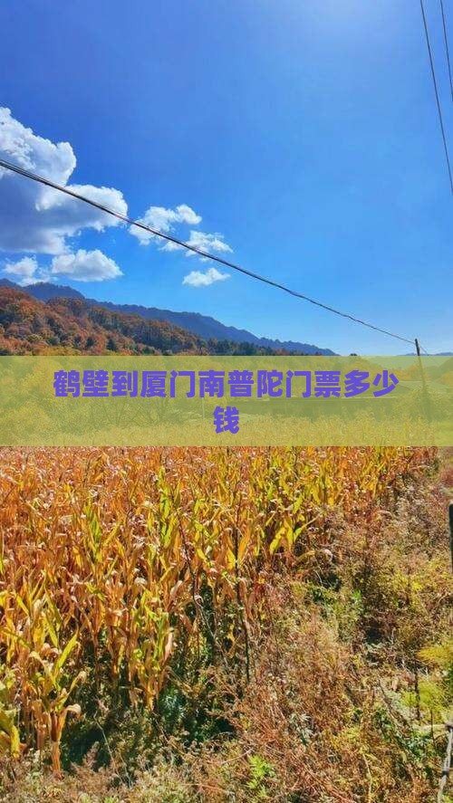 鹤壁到厦门南普陀门票