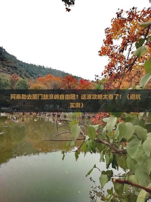 阿泰勒去厦门鼓浪屿自由团