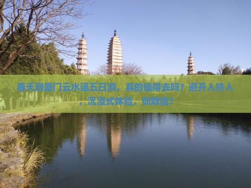 春天到厦门云水谣五日游 春天到厦门云水谣五日游