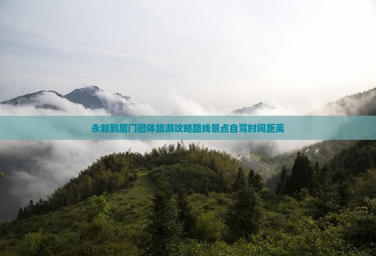 永新到厦门团体旅游