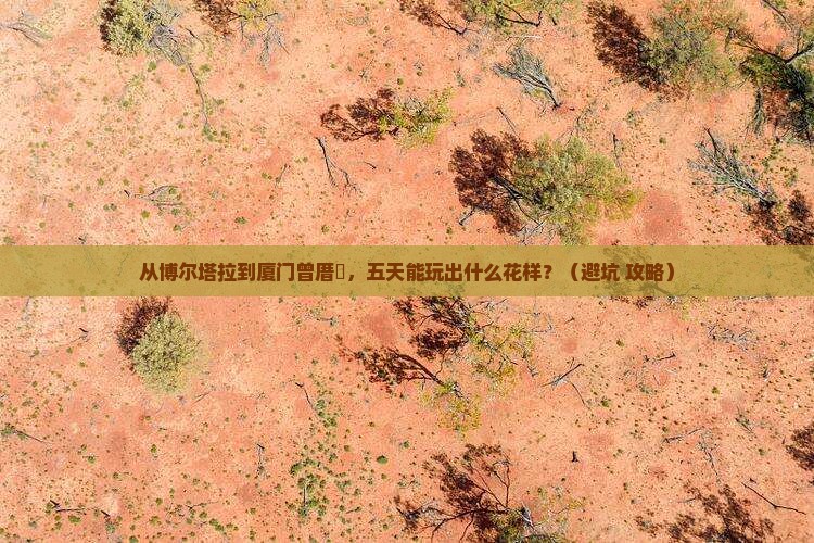 博尔塔拉到厦门曾厝埯五日游