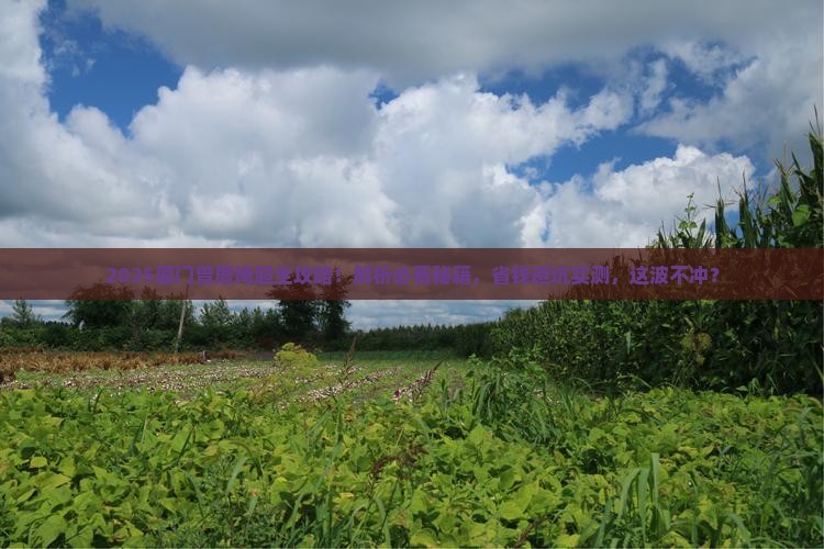 商丘去厦门曾厝埯必去地