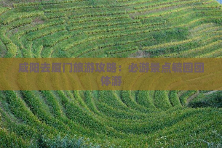 咸阳去厦门毓园团体旅游