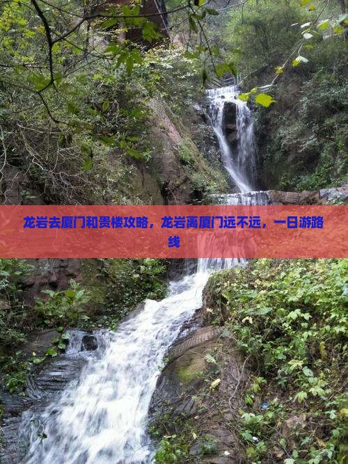 龙岩去厦门和贵楼攻略