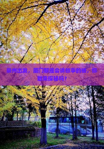 泉州去厦门和贵楼旅游