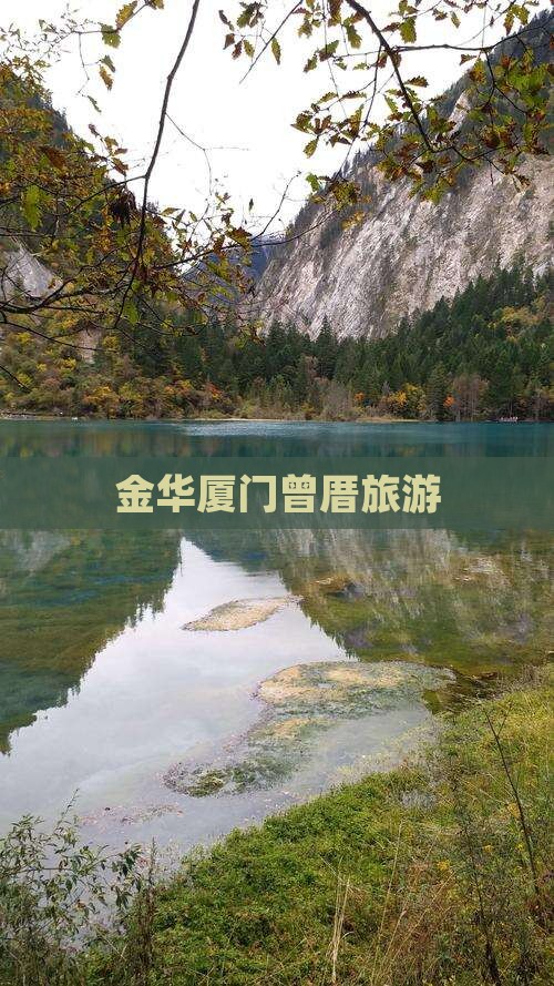 金华去厦门曾厝埯旅行社