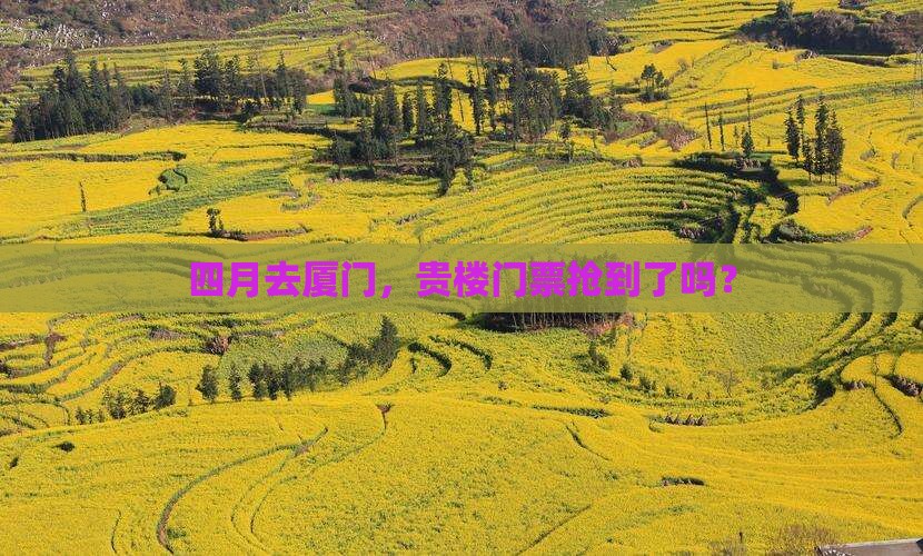 四月到厦门和贵楼门票