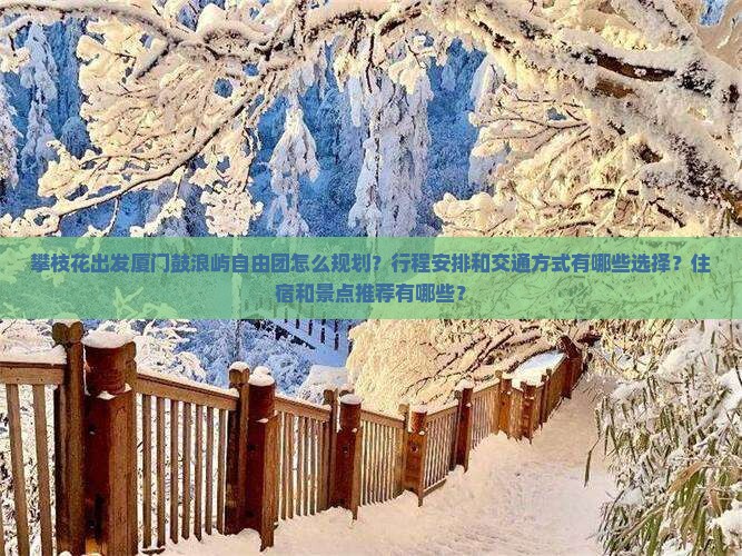 攀枝花去厦门鼓浪屿自由团
