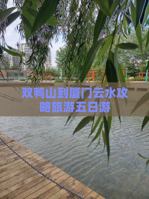 双鸭山到厦门云水谣五日游 双鸭山到厦门云水谣五日游