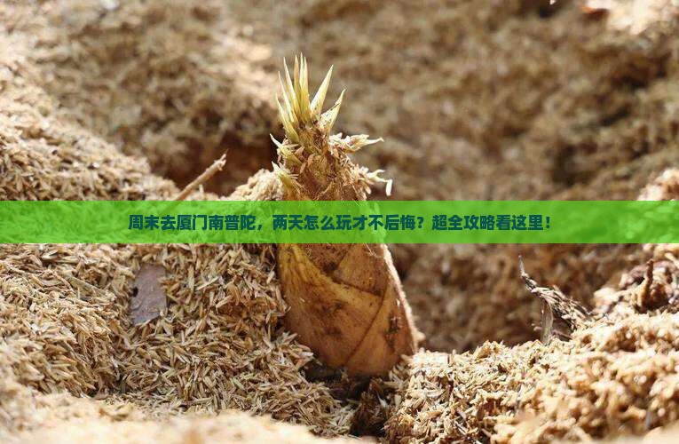 周口去厦门南普陀二日游