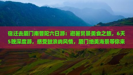 宿迁去厦门南普陀六日游