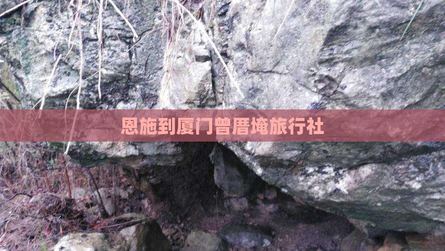 恩施到厦门曾厝埯旅行社