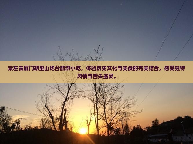 崇左去厦门胡里山炮台旅游小吃