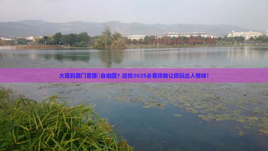 大理到厦门曾厝埯自由团