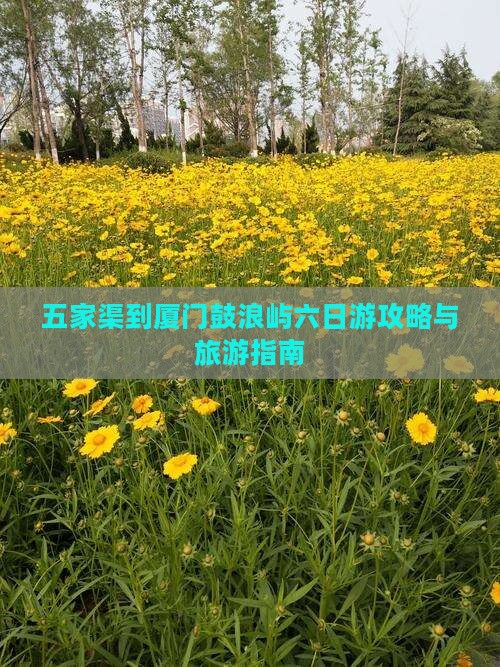 五家渠到厦门鼓浪屿六日游