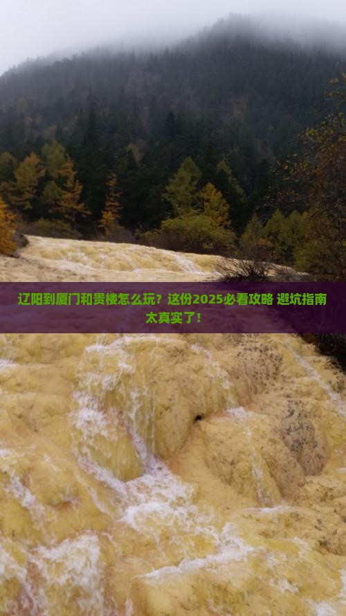 辽阳到厦门和贵楼必去地