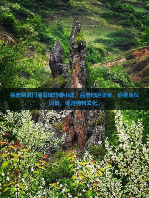 德宏到厦门曾厝埯旅游小吃