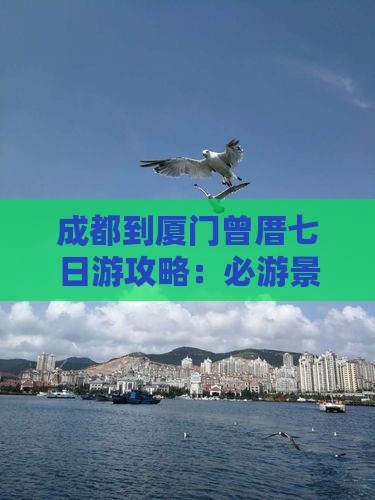 成都到厦门曾厝七日游攻略：必游景点全解析