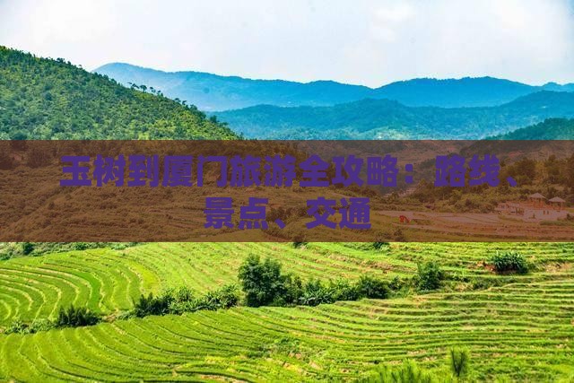玉树到厦门旅游全攻略：路线、景点、交通