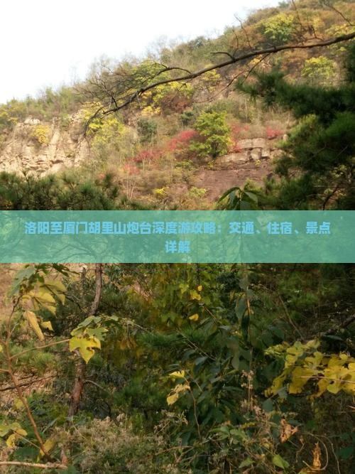 洛阳至厦门胡里山炮台深度游攻略：交通、住宿、景点详解