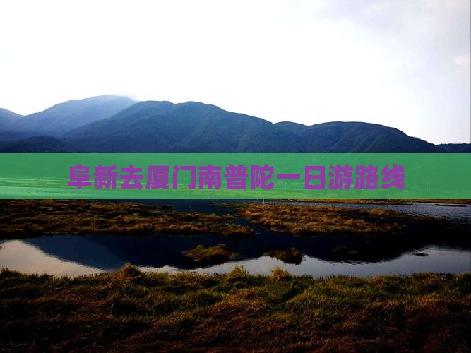 阜新去厦门南普陀一日游路线