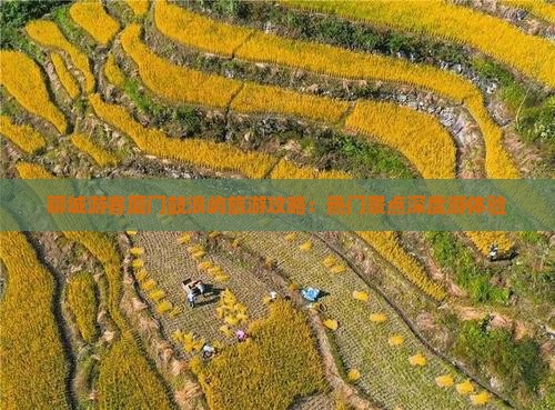 聊城游客厦门鼓浪屿旅游攻略：热门景点深度游体验