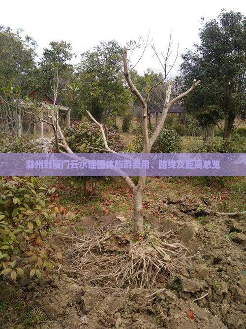 滁州到厦门云水谣团体旅游费用、路线及距离总览