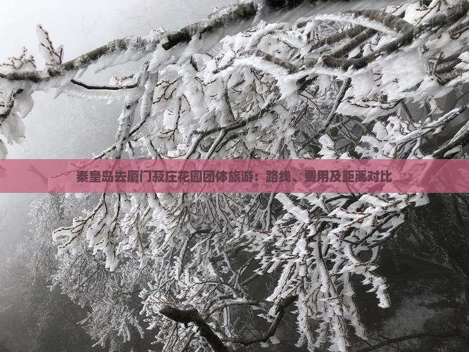 秦皇岛去厦门菽庄花园团体旅游：路线、费用及距离对比