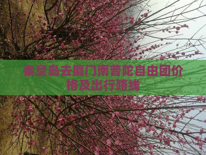 秦皇岛去厦门南普陀自由团价格及出行路线
