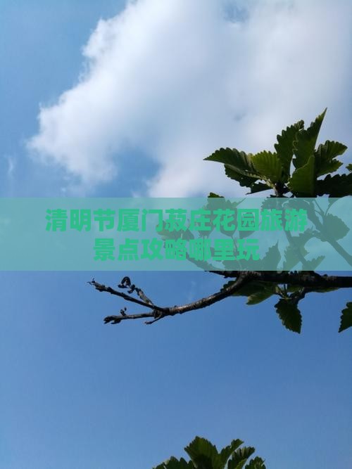 清明节厦门菽庄花园旅游景点攻略哪里玩