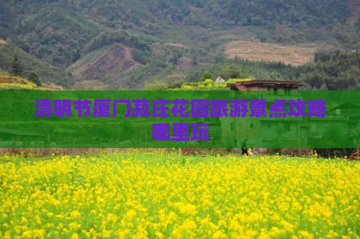 清明节厦门菽庄花园旅游景点攻略哪里玩