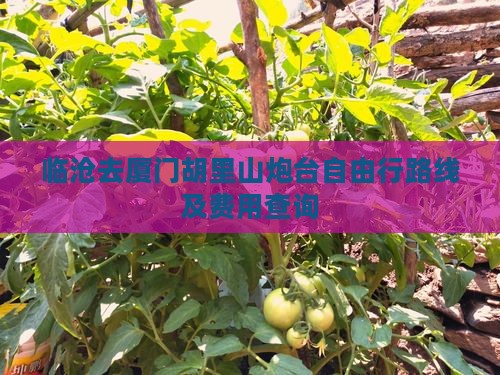 临沧去厦门胡里山炮台自由行路线及费用查询