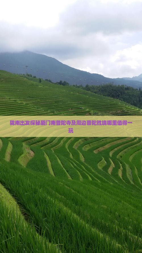 陇南出发探秘厦门南普陀寺及周边普陀胜境哪里值得一玩