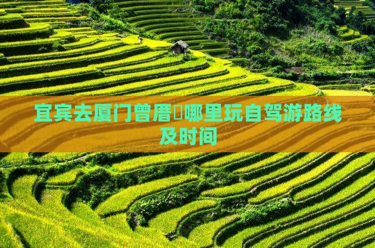 宜宾去厦门曾厝垵哪里玩自驾游路线及时间