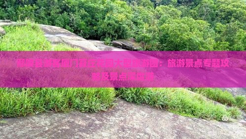 鄢陵县游客厦门菽庄花园大型旅游团：旅游景点专题攻略及景点深度游