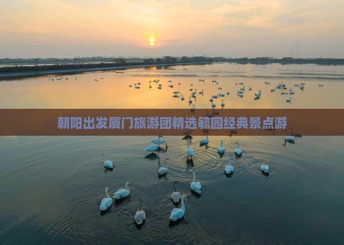 朝阳出发厦门旅游团精选毓园经典景点游