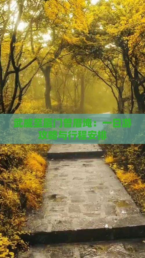 武威至厦门曾厝埯：一日游攻略与行程安排