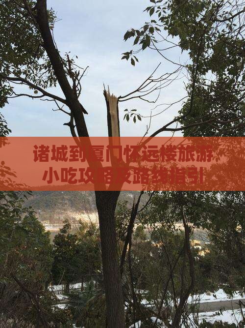 诸城到厦门怀远楼旅游小吃攻略及路线指引