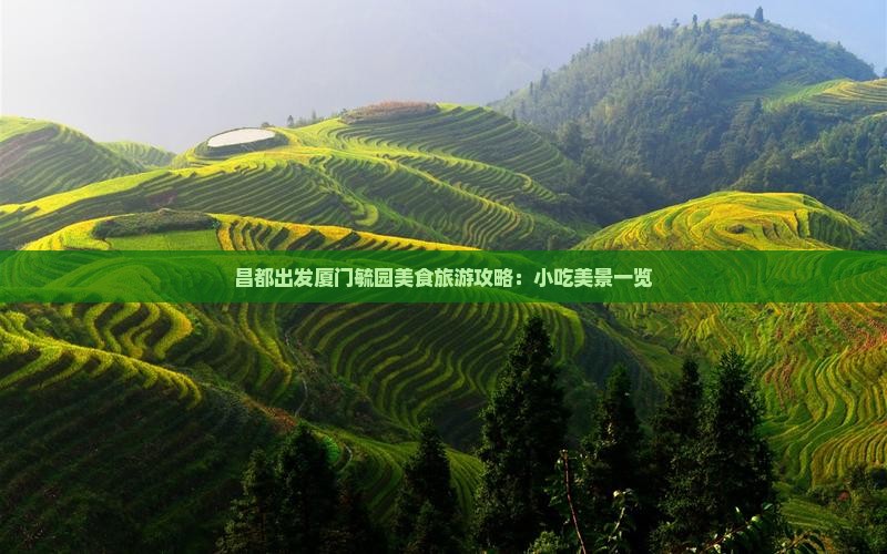 昌都出发厦门毓园美食旅游攻略：小吃美景一览