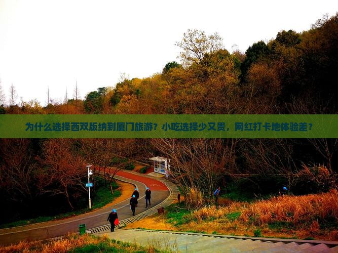 西双版纳到厦门旅游小吃