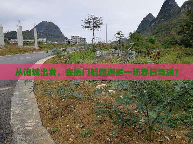 诸城到厦门毓园大型旅游团