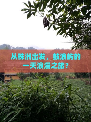 株洲到厦门鼓浪屿一日
