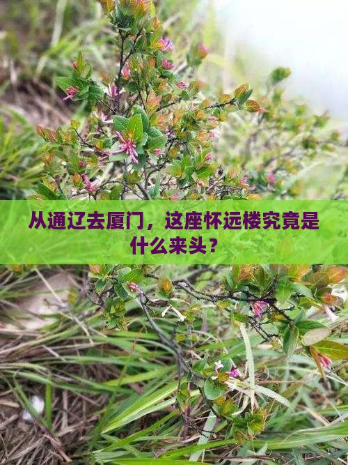 通辽市到厦门怀远楼必去地