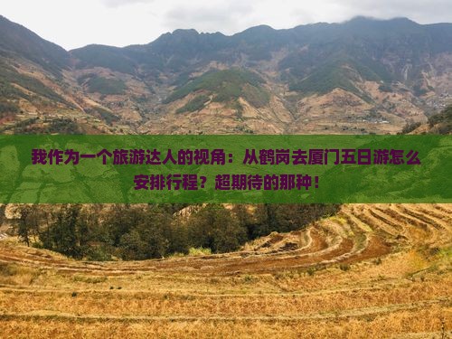 鹤岗去厦门五日游