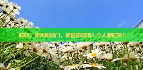 赣州到厦门毓园个人游