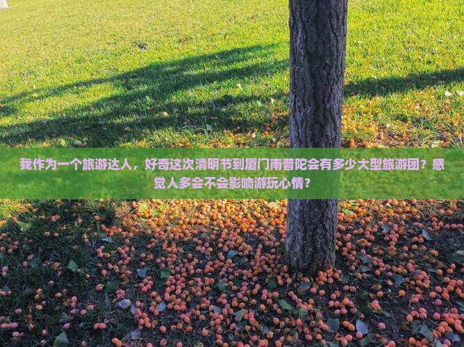 清明节到厦门南普陀大型旅游团