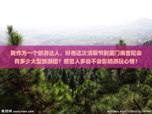 清明节到厦门南普陀大型旅游团